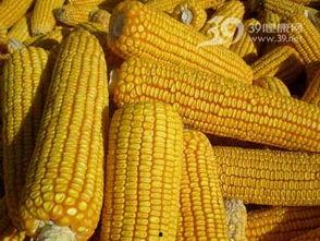 蛋花玉米爆料视频大全,视频大全揭秘幕后真相 第3张 蛋花玉米爆料视频大全,视频大全揭秘幕后真相 第3张